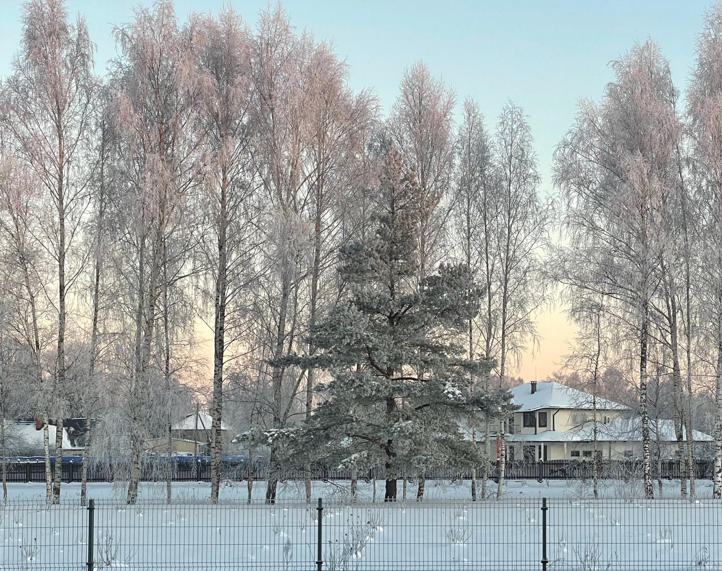 IMG_2424.jpeg