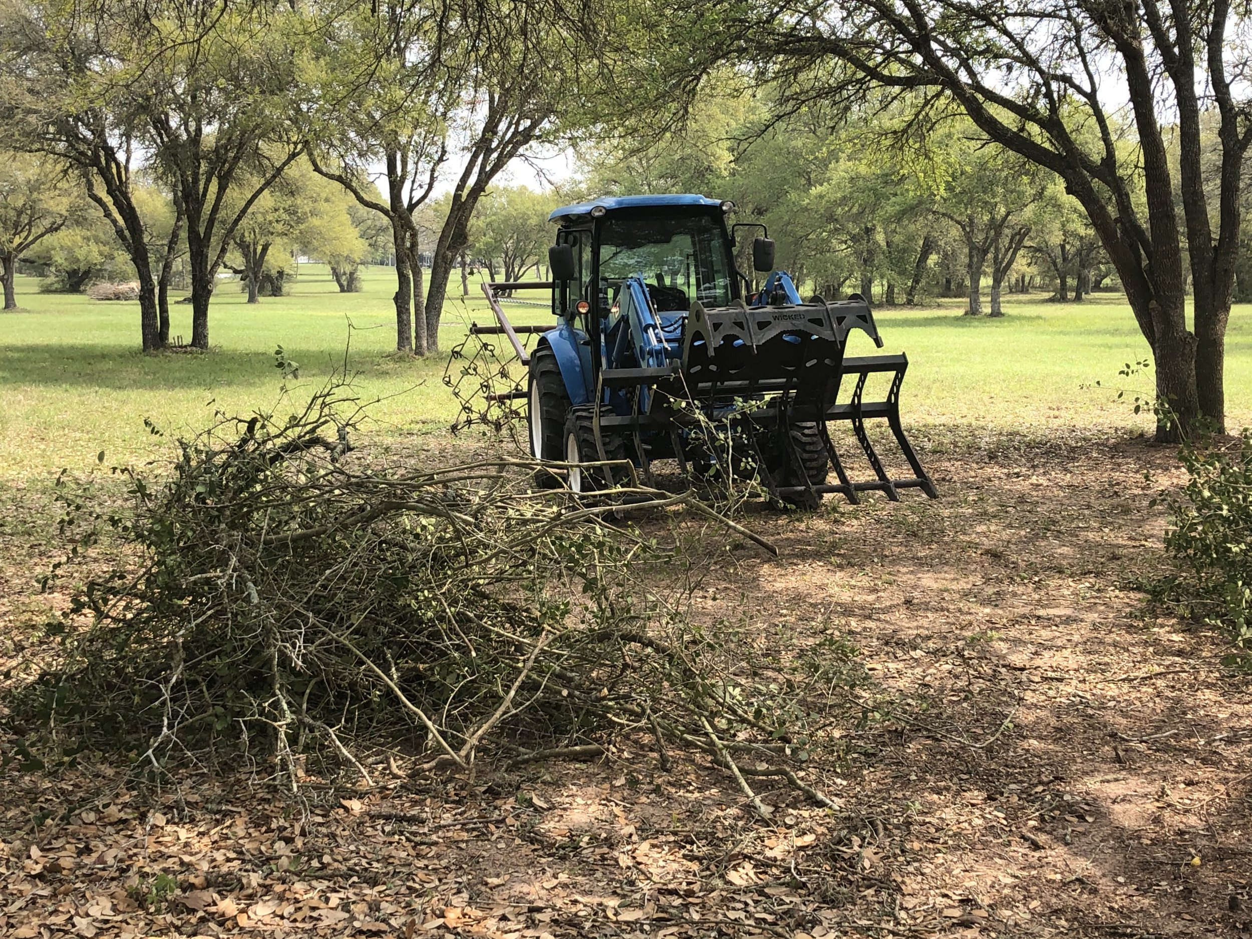 IMG_2965.jpg IMG_2965.jpg