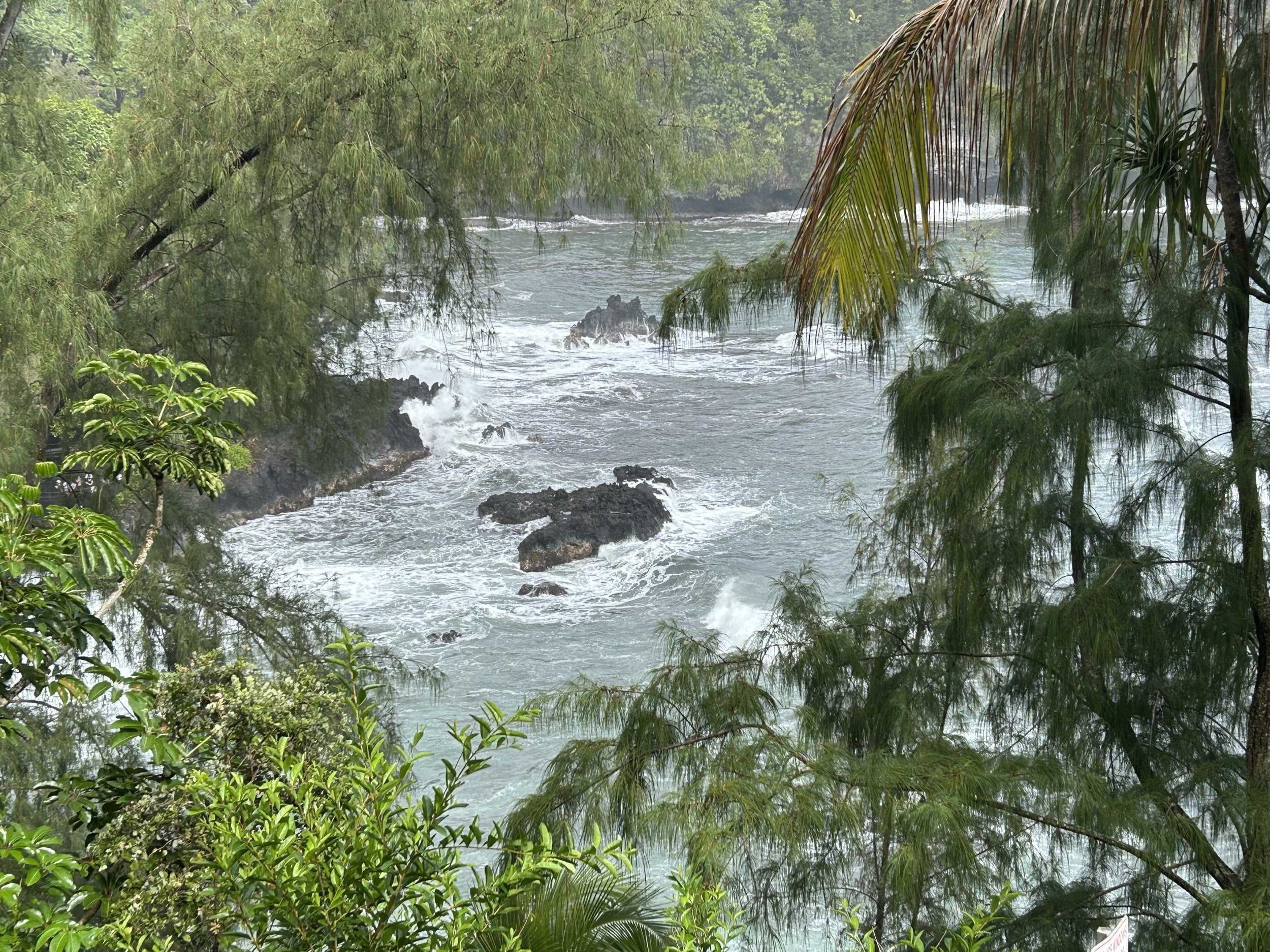 IMG_3539.jpeg