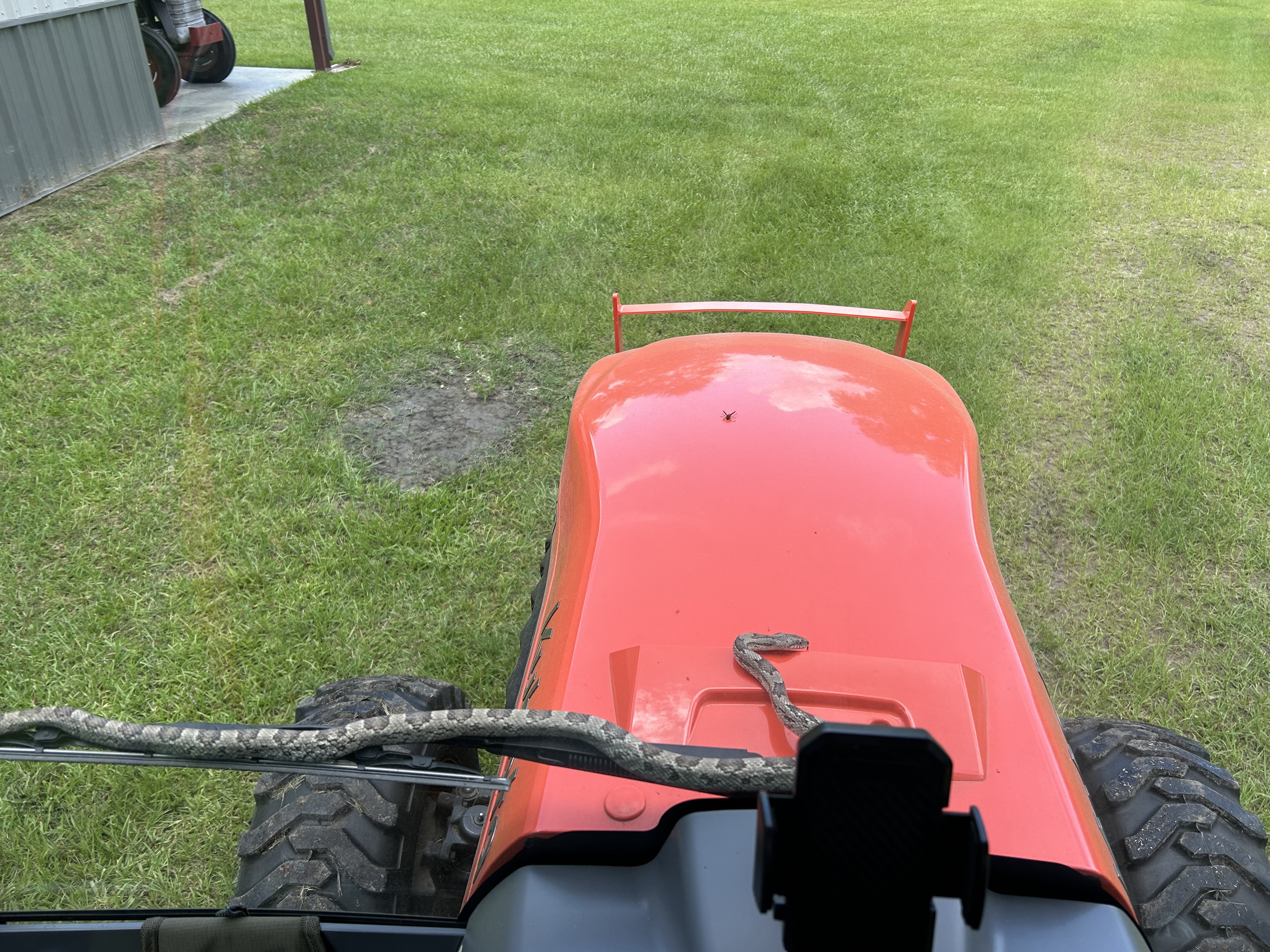 IMG_4024.jpeg