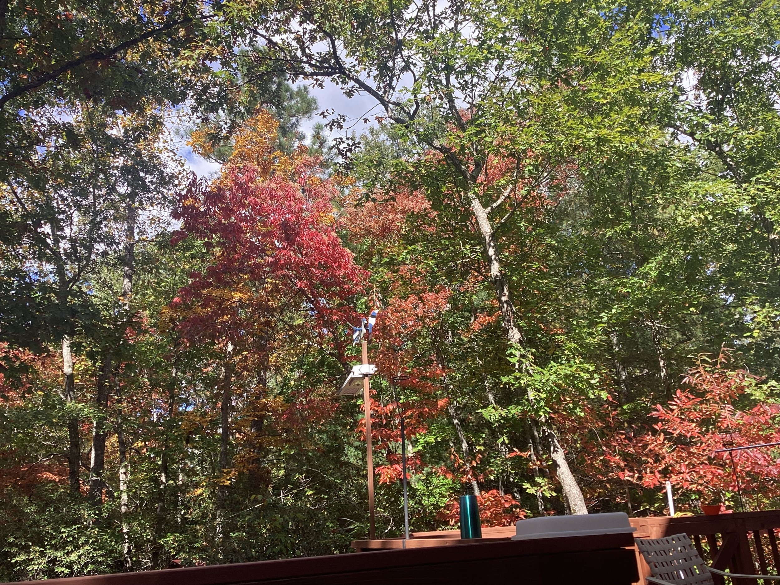 IMG_4615.jpeg