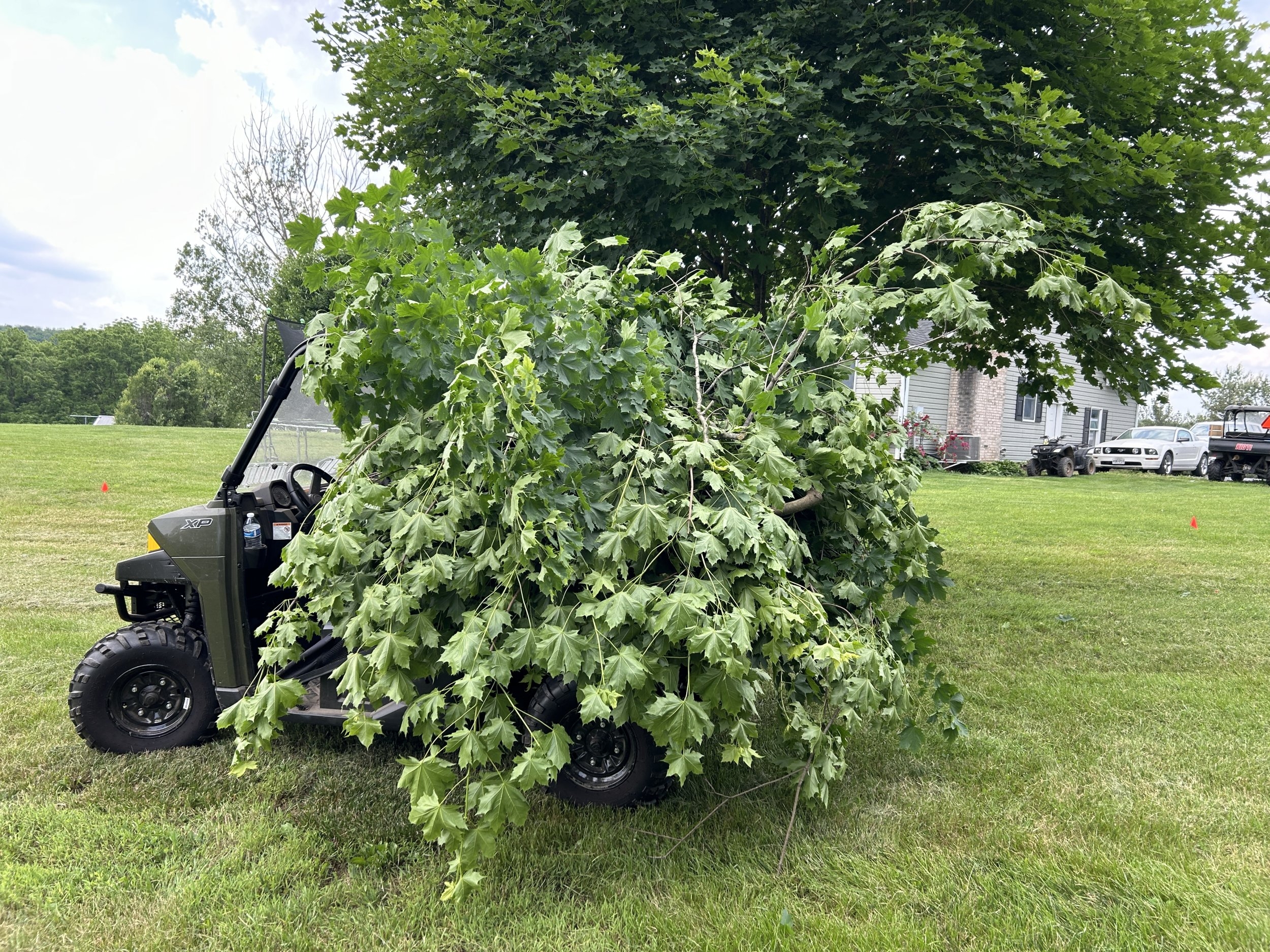 IMG_5544.jpeg IMG_5544.jpeg