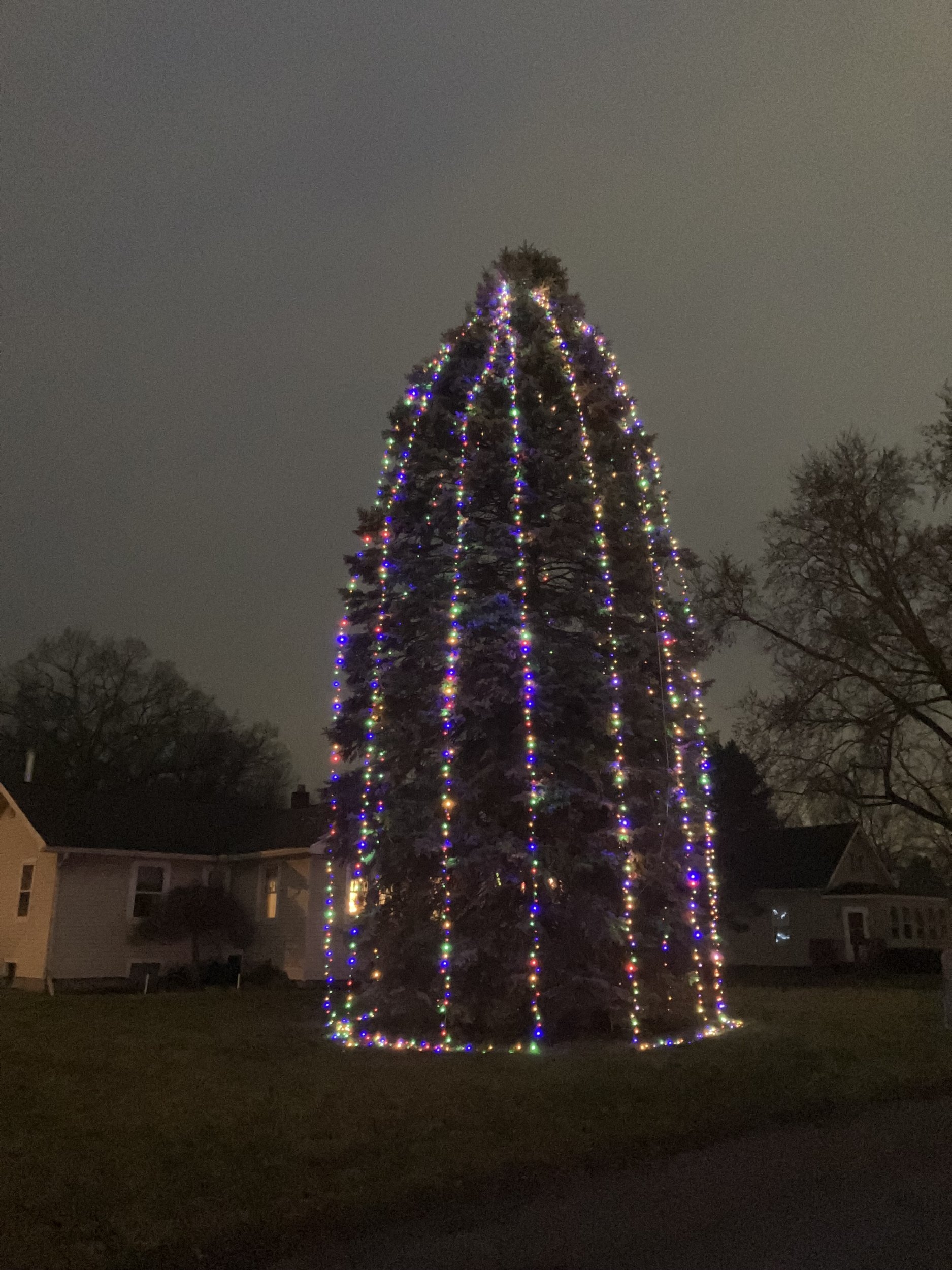 IMG_5685.jpeg IMG_5685.jpeg