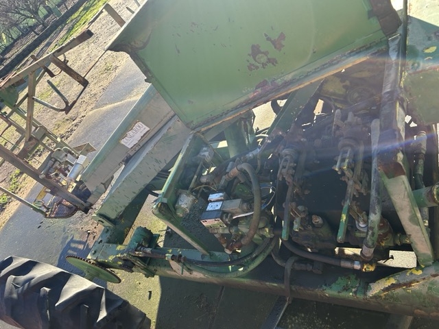 IMG_6253 Medium.jpeg