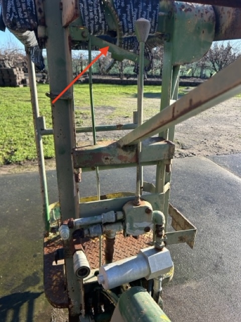 IMG_6258 Medium.jpeg