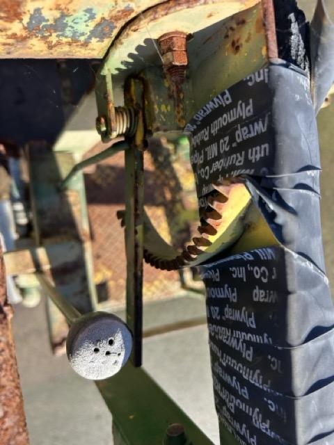 IMG_6259 Medium.jpeg