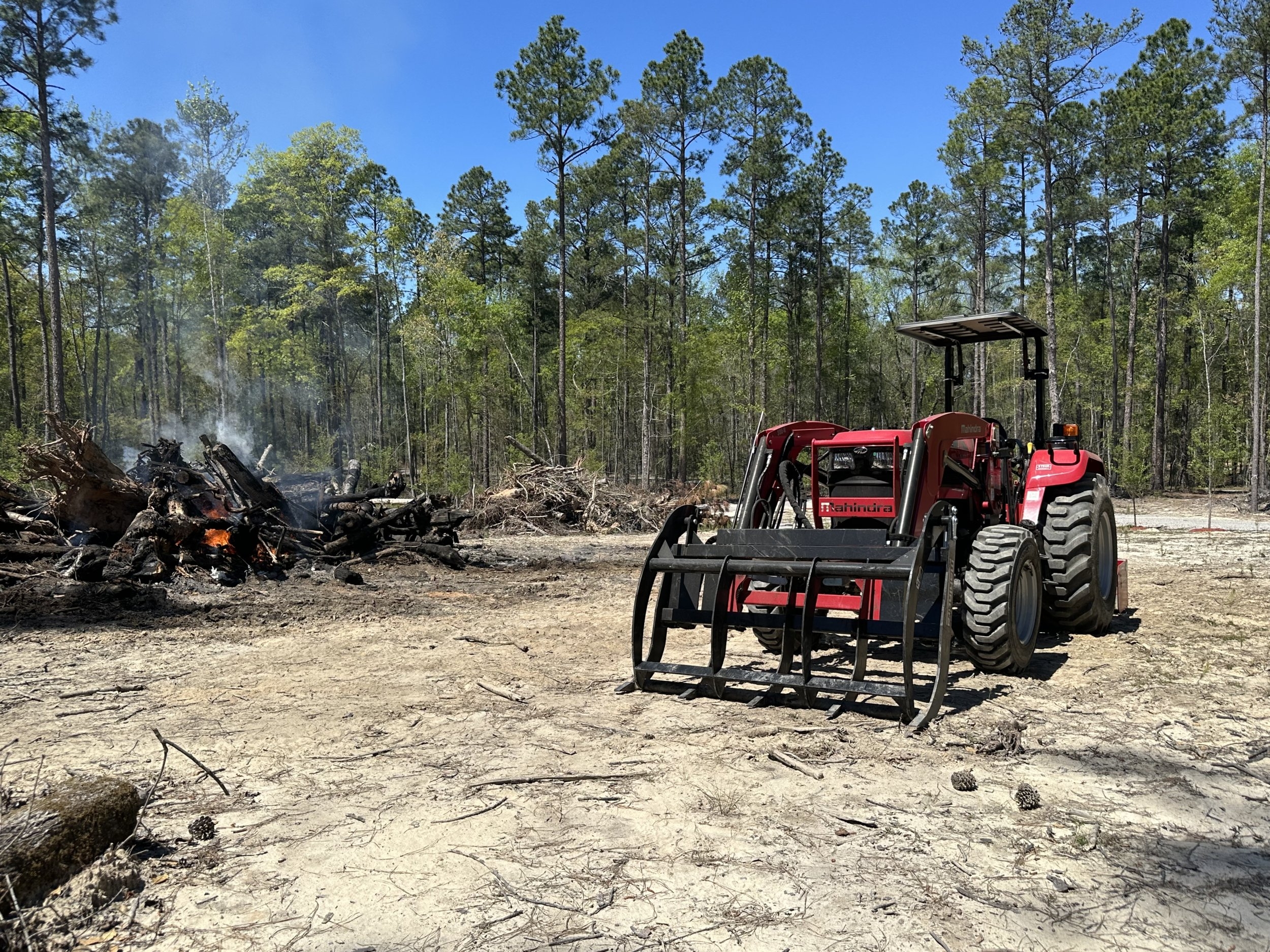 IMG_6429.jpeg IMG_6429.jpeg