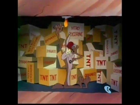 IMG_6982.jpeg