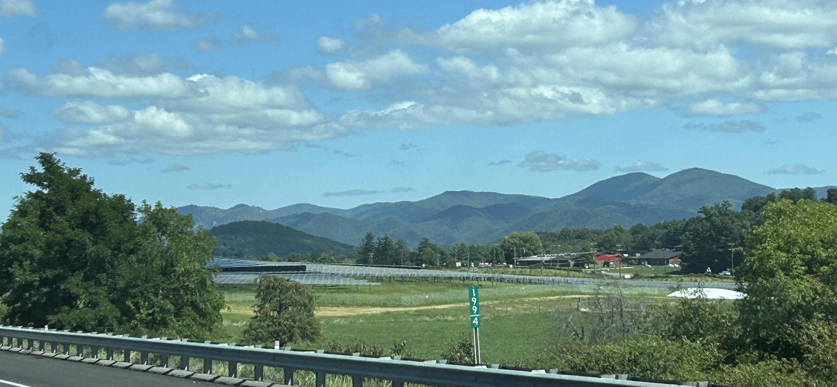 IMG_7022.jpeg