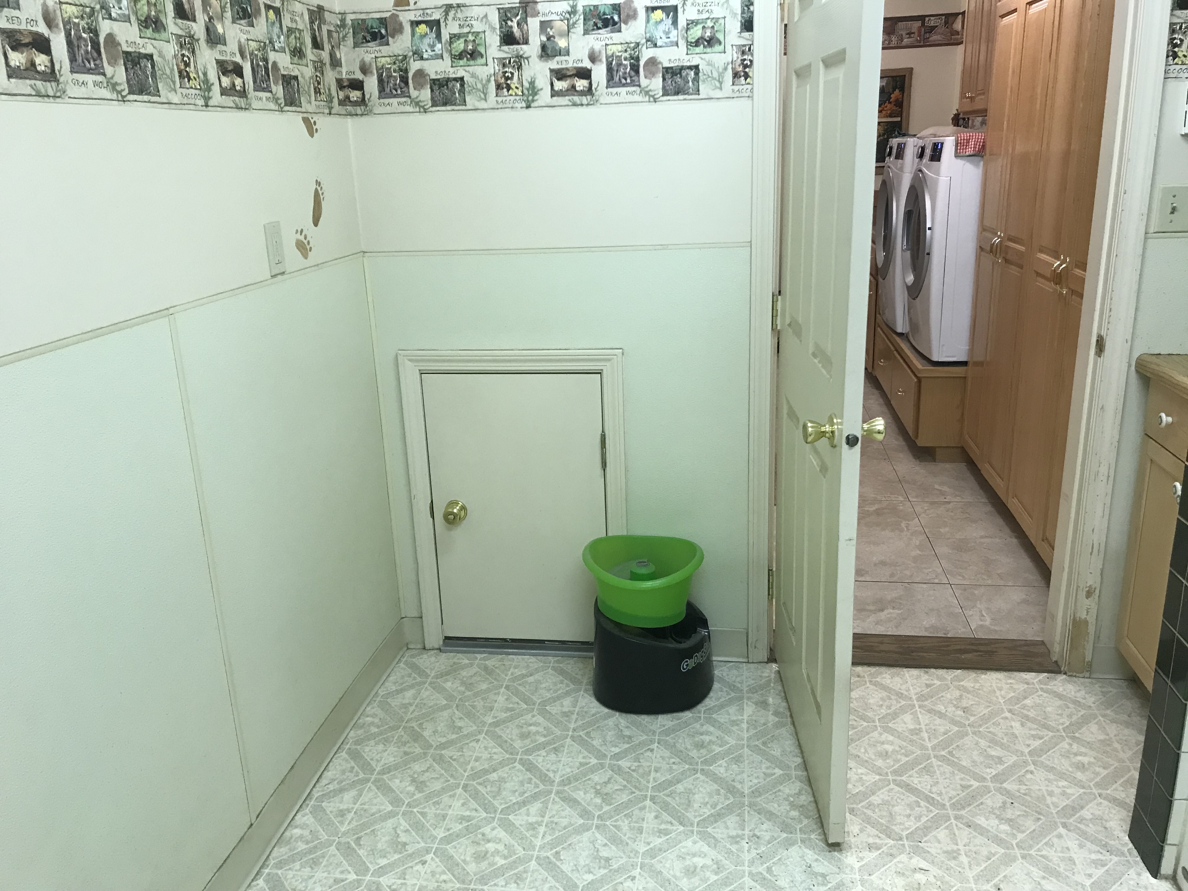 IMG_7431.jpeg
