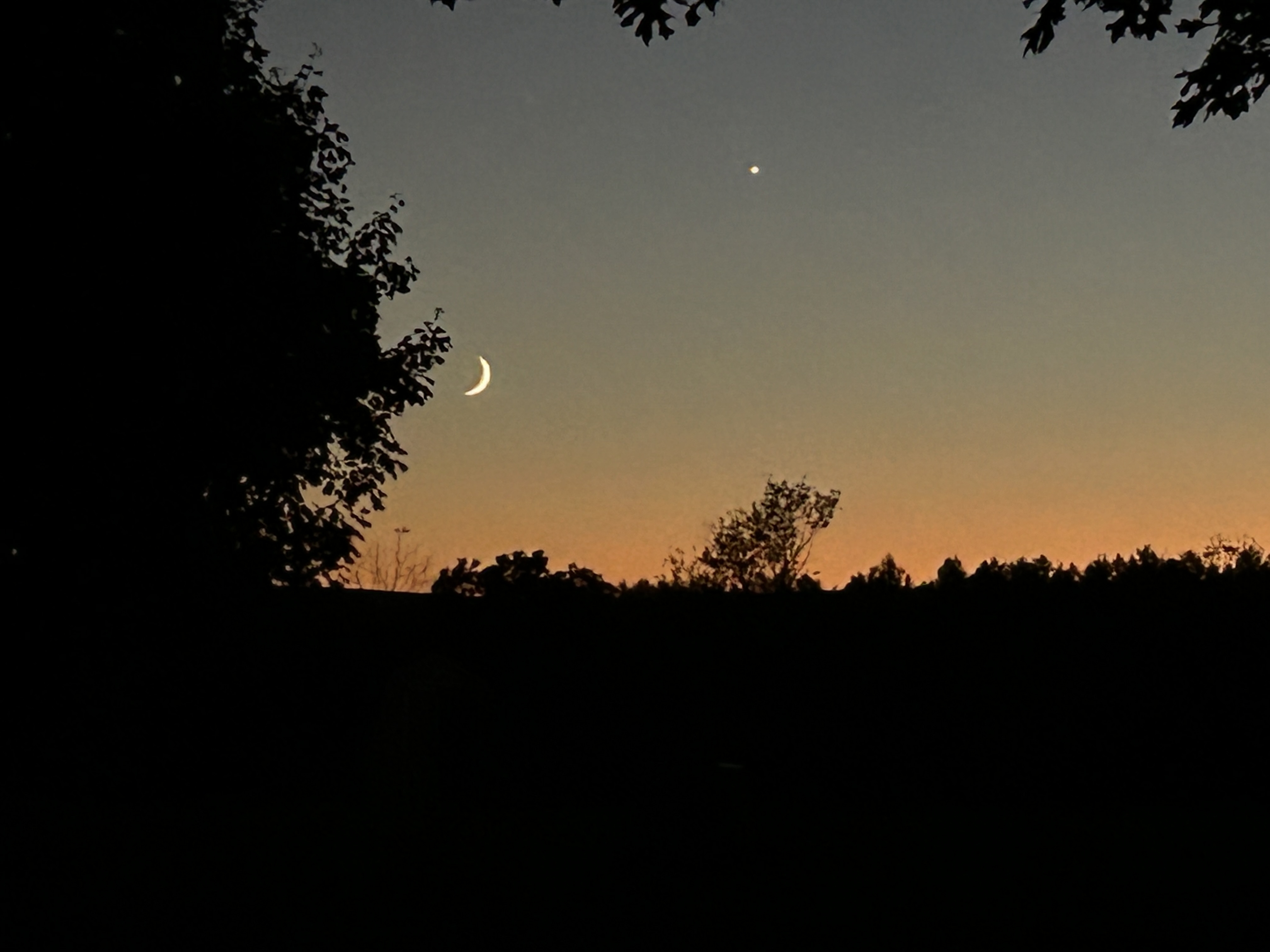 IMG_8145.jpeg
