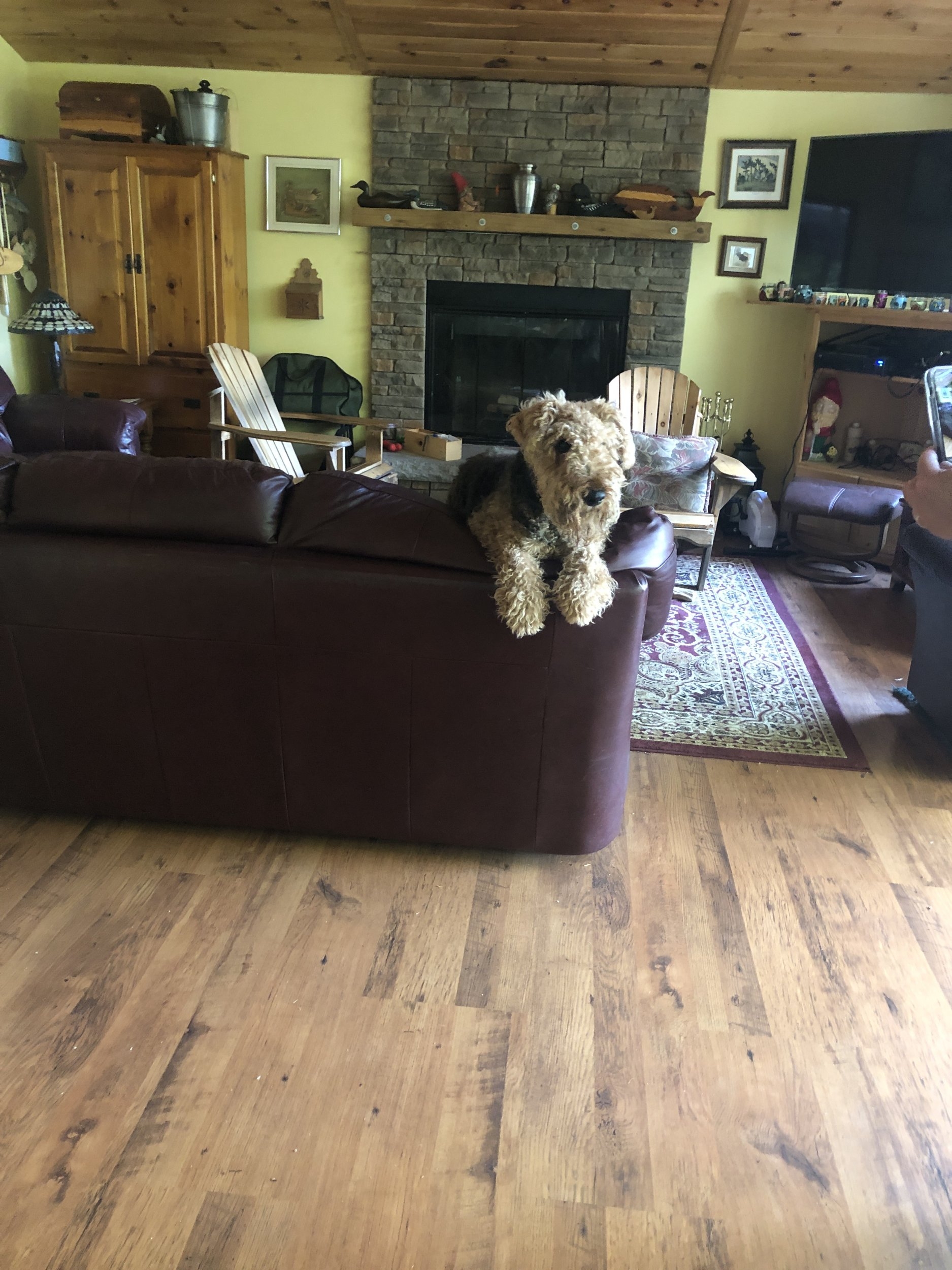 IMG_8290.jpeg
