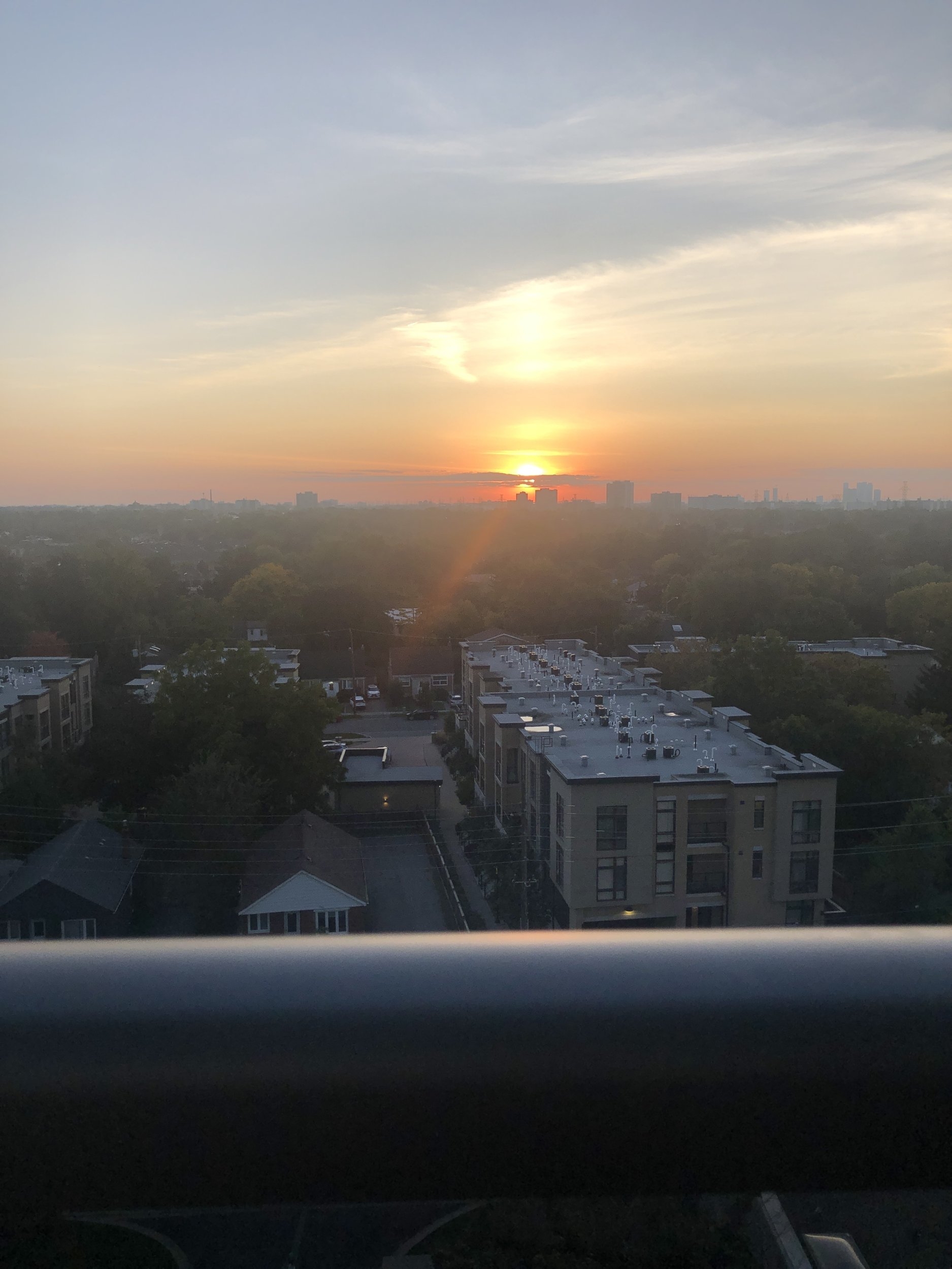IMG_8337.jpeg