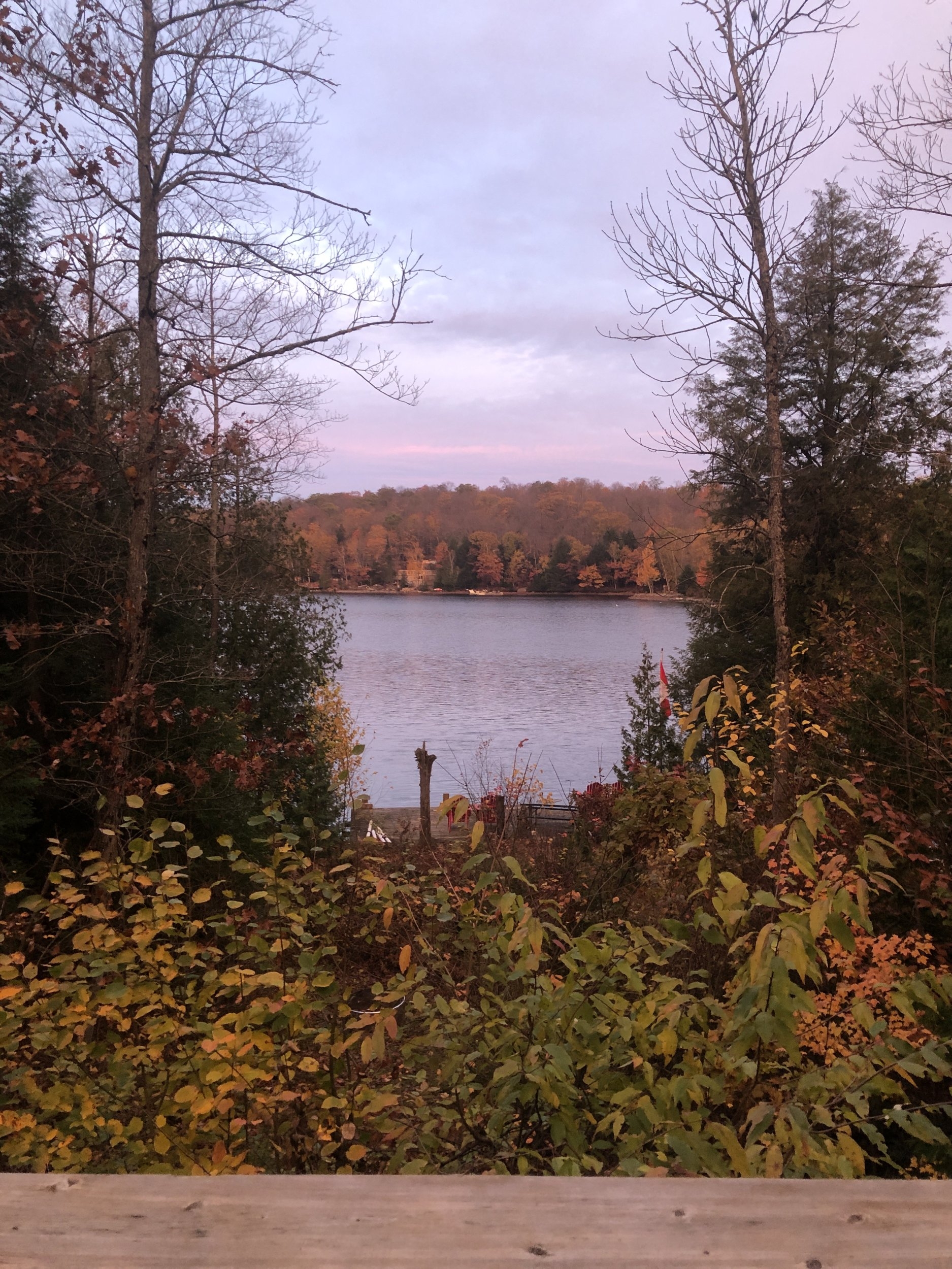 IMG_8393.jpeg