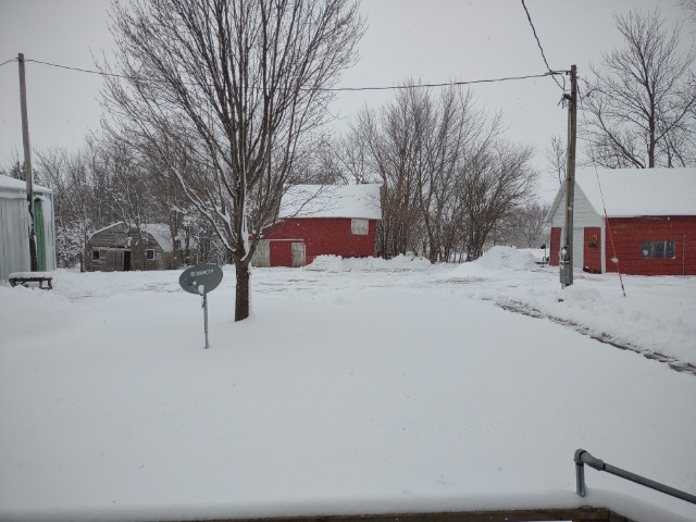 Jan 19 2023 snow.jpg