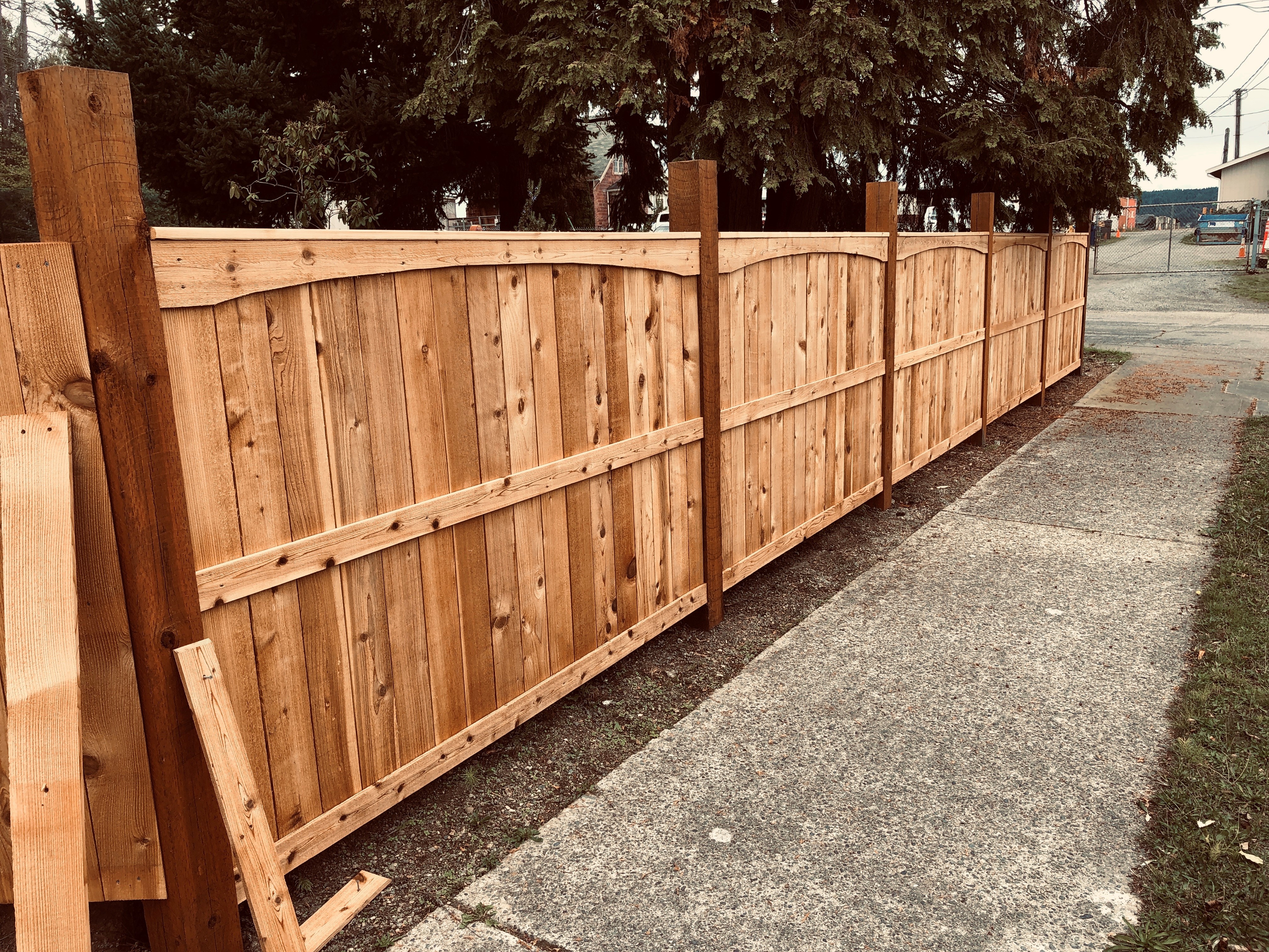 Jeremy's cedar fence Ruston curved boards across top.jpg