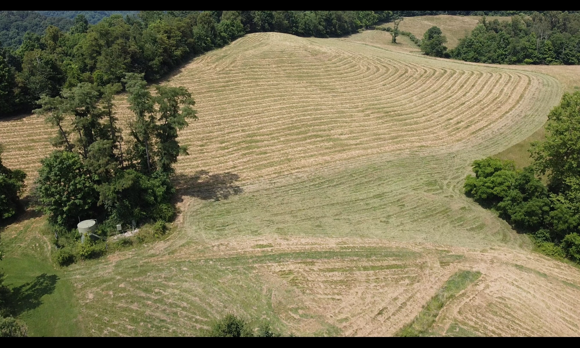 K_mowed1_Farm_OH.jpg