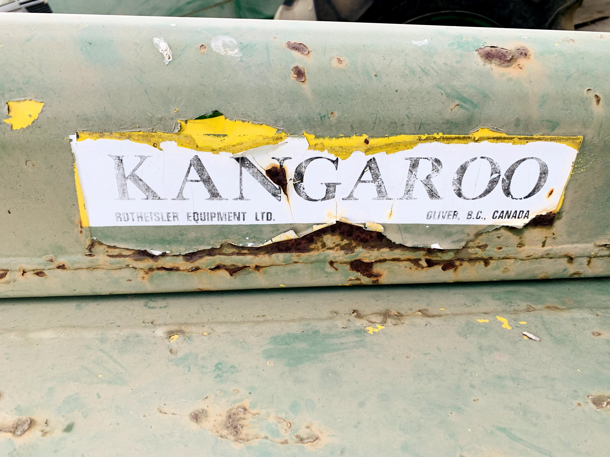 Kangaroo.jpg