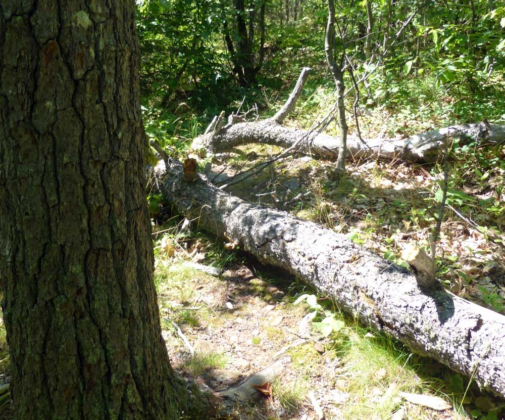 keweetrails0591.jpg