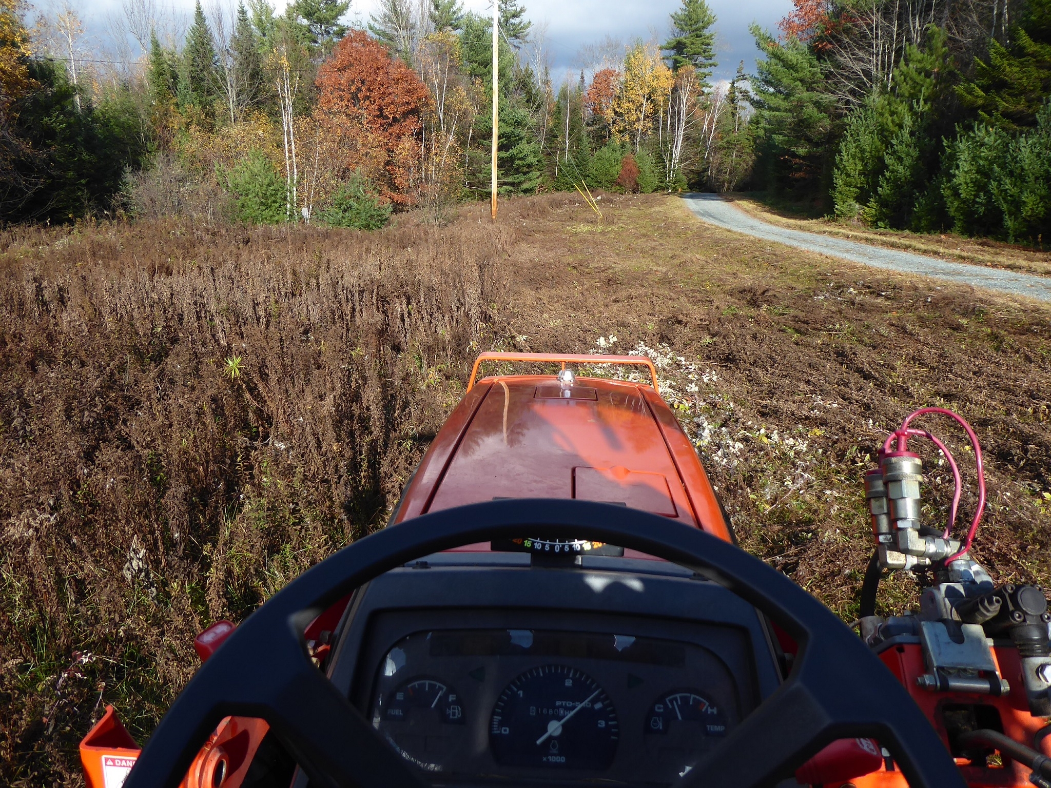 LateMowing.jpg LateMowing.jpg