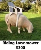 Lawn mower.jpeg