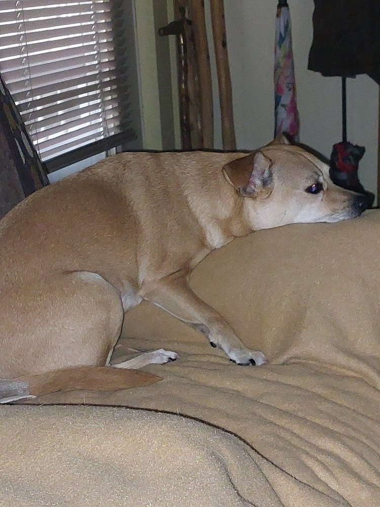 Layla 042125 02.resized.jpg