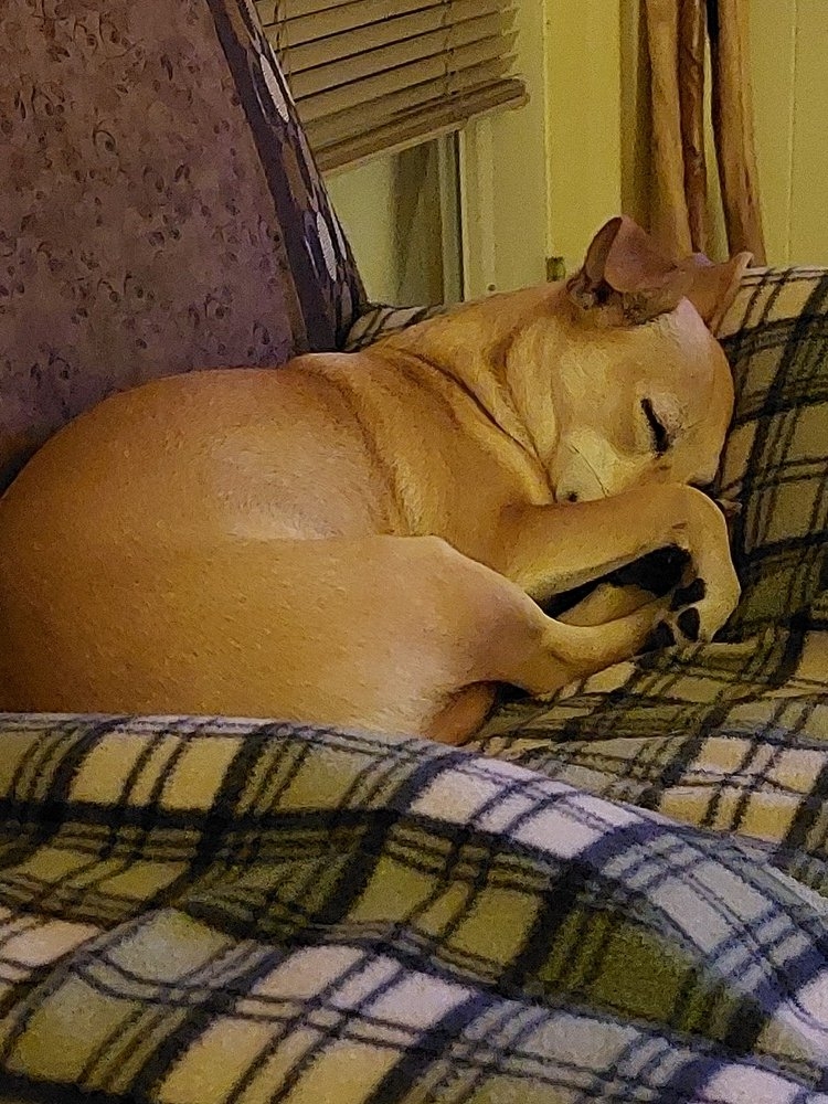 Layla 091024 1.resized.jpg