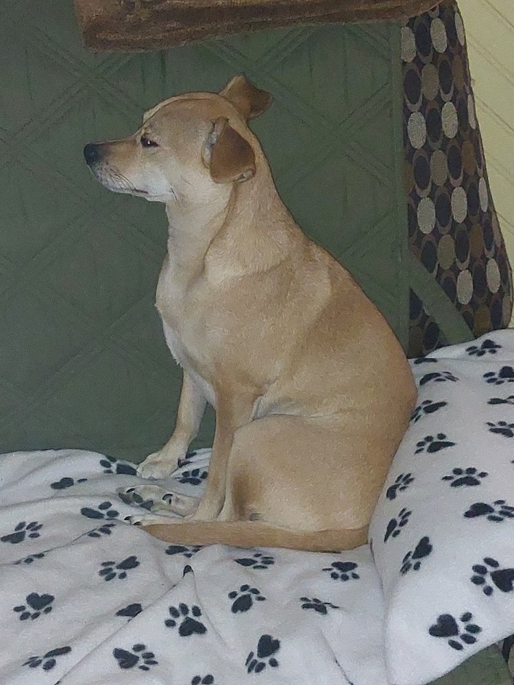 Layla 110223 429.resized.jpg