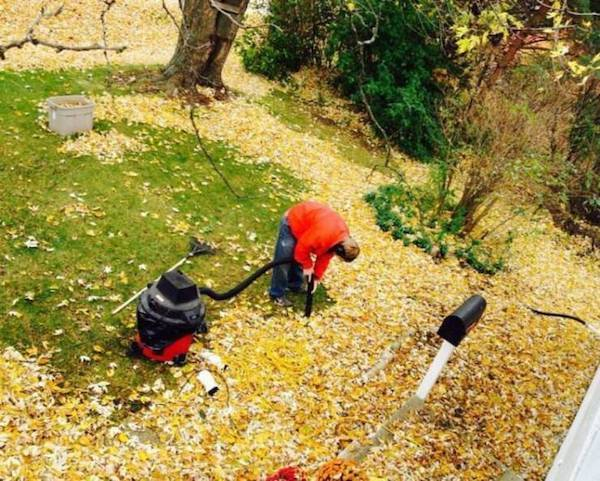 leaf vac.jpeg