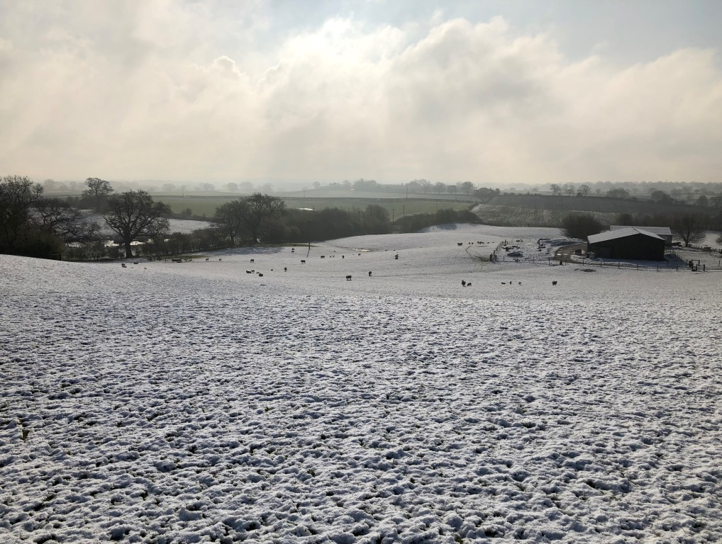 Light snow.jpeg
