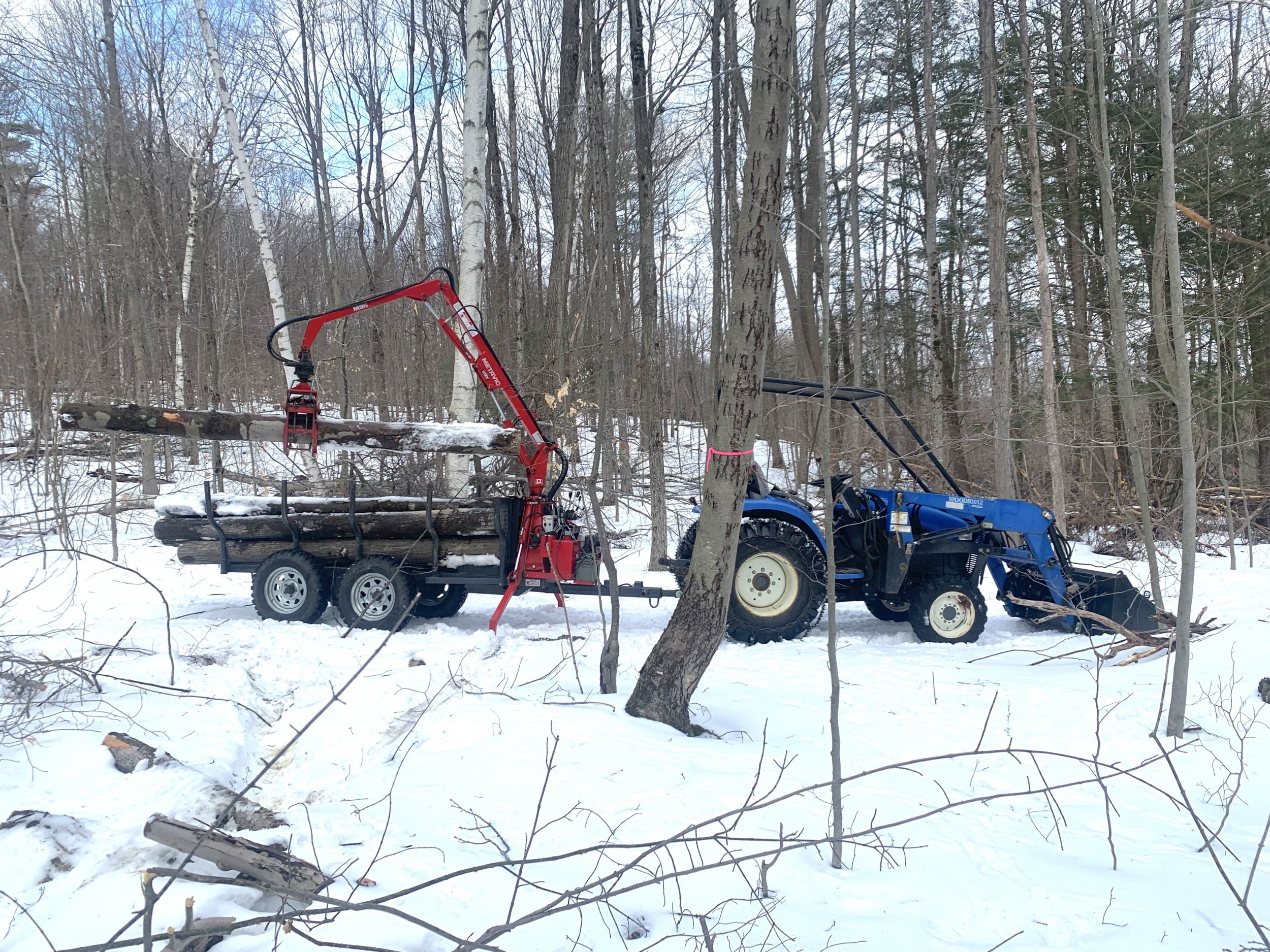 loading firewood.jpg