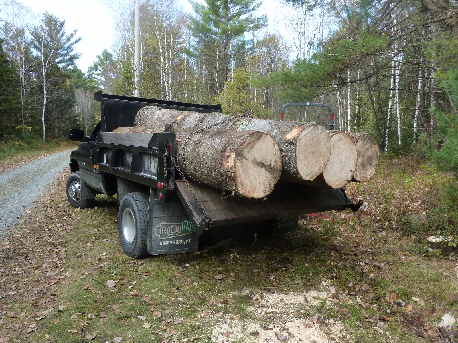 LoadingPine10.JPG