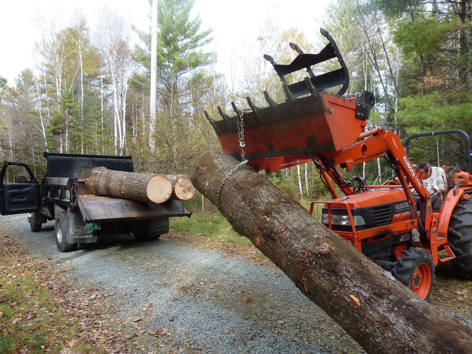 LoadingPine6.JPG