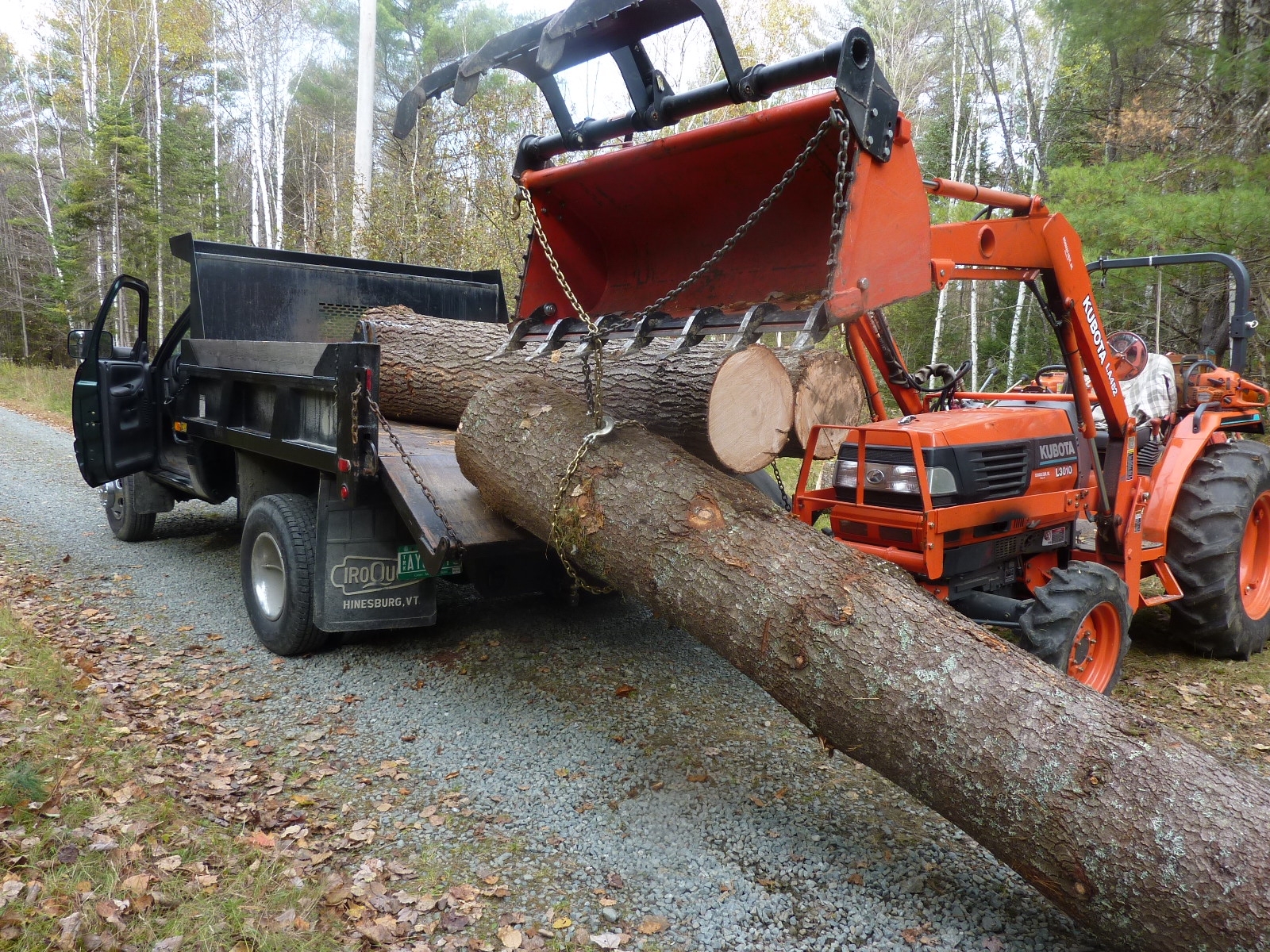 LoadingPine7.JPG