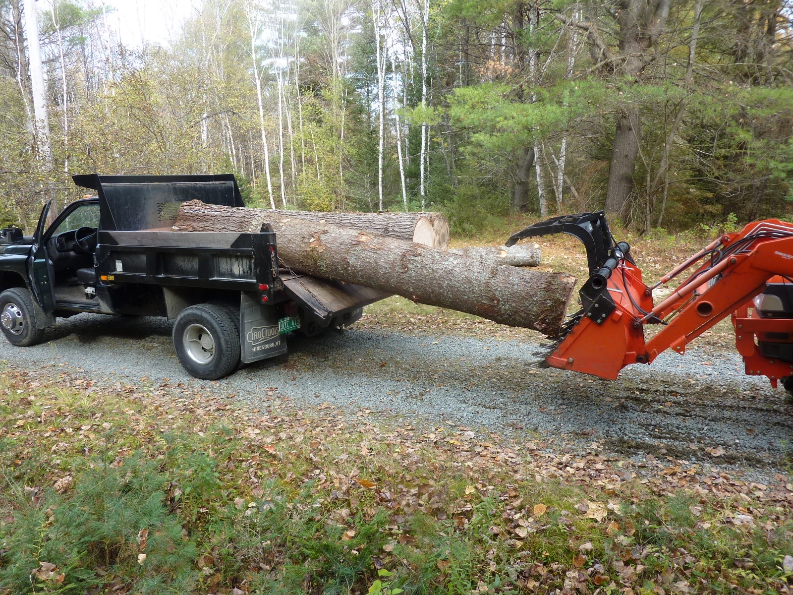 LoadingPine8.JPG