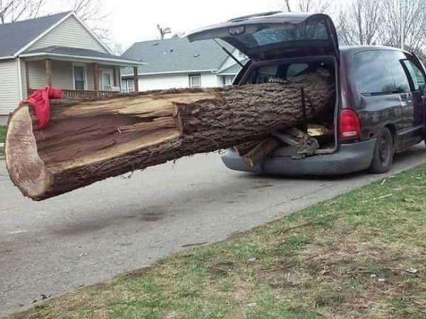 log haul.jpg