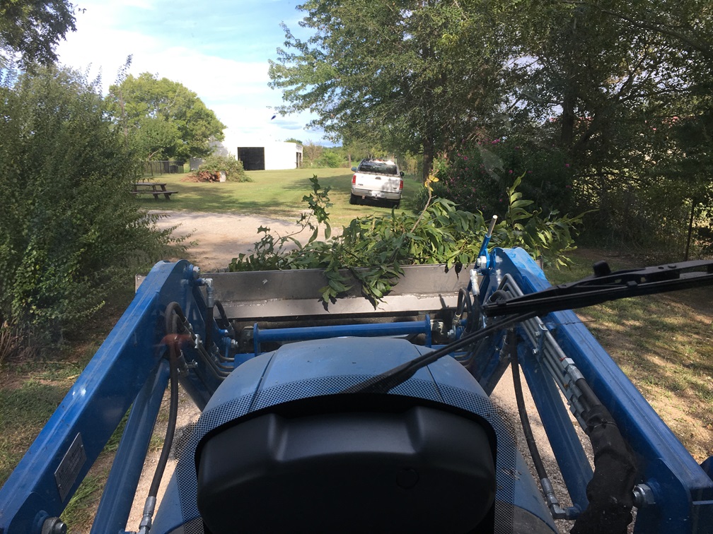 LS XR3135HC branches 2.JPG