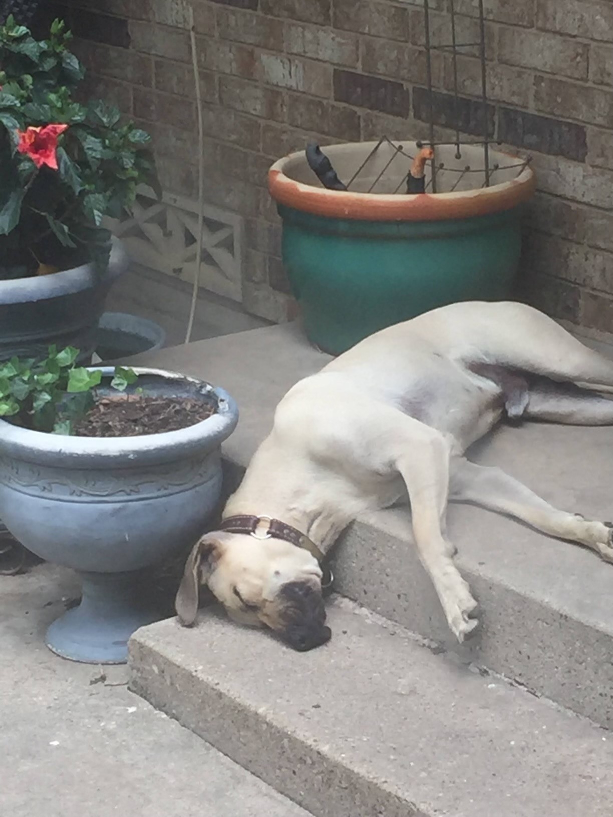 Mason Sleeping.jpg