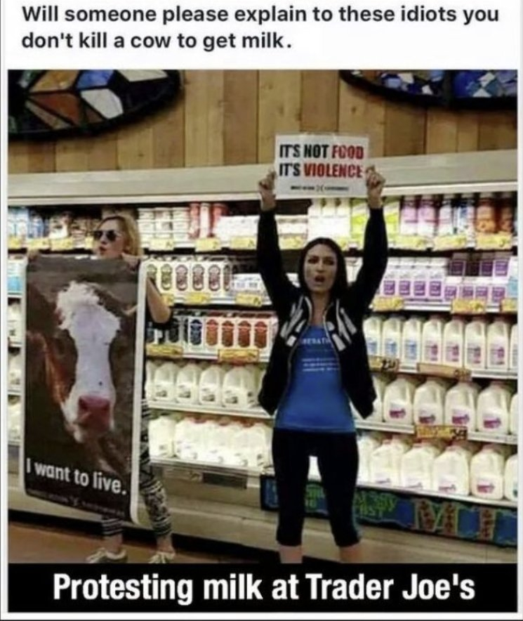 Milk Protest.jpg