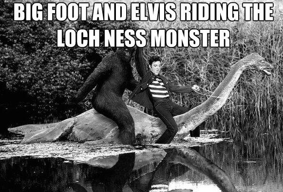 monster.jpg