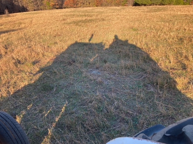 Mowing 11 16 2023 1.jpeg