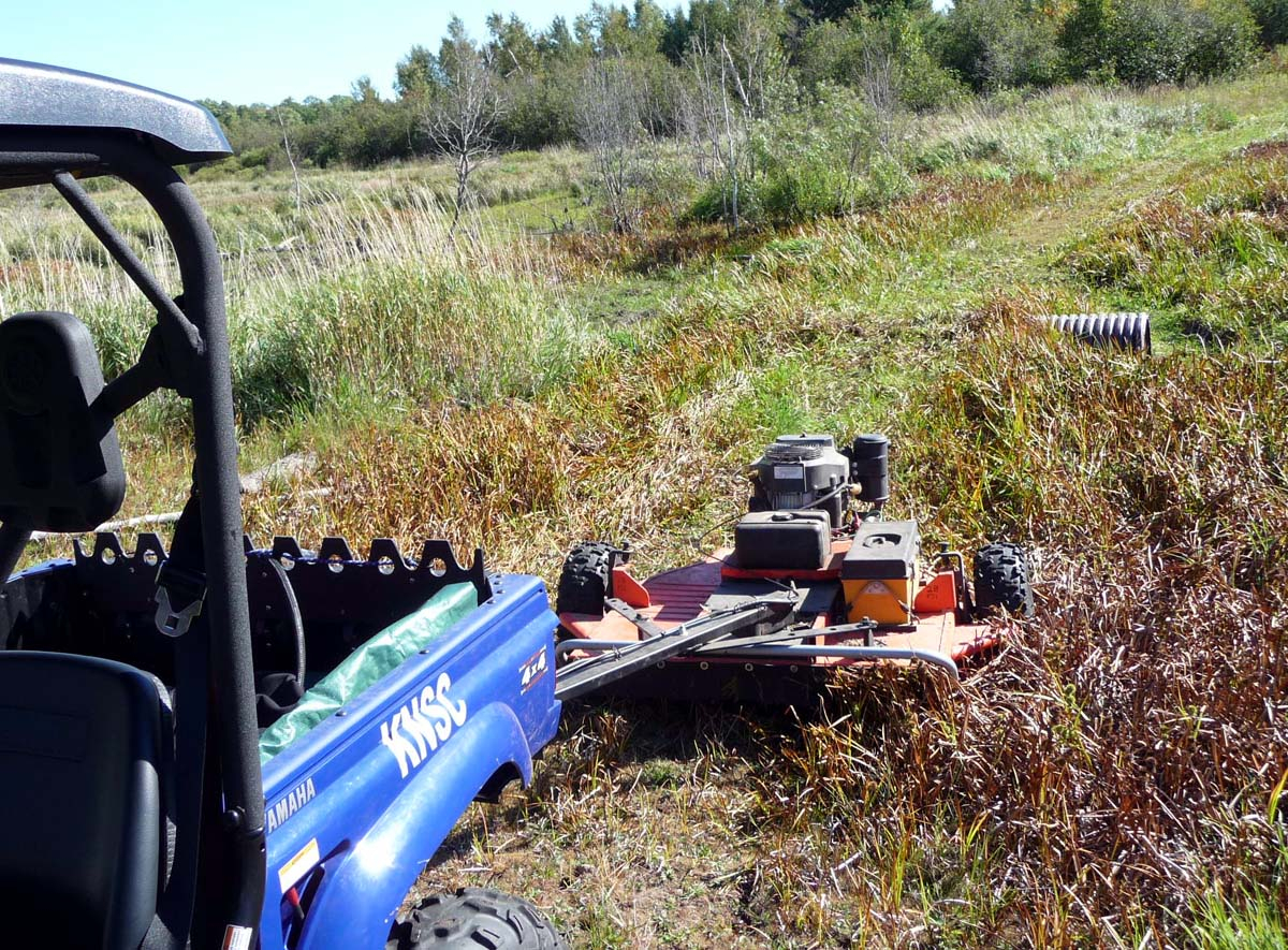 Mowing CR beaver pond (DL).jpg