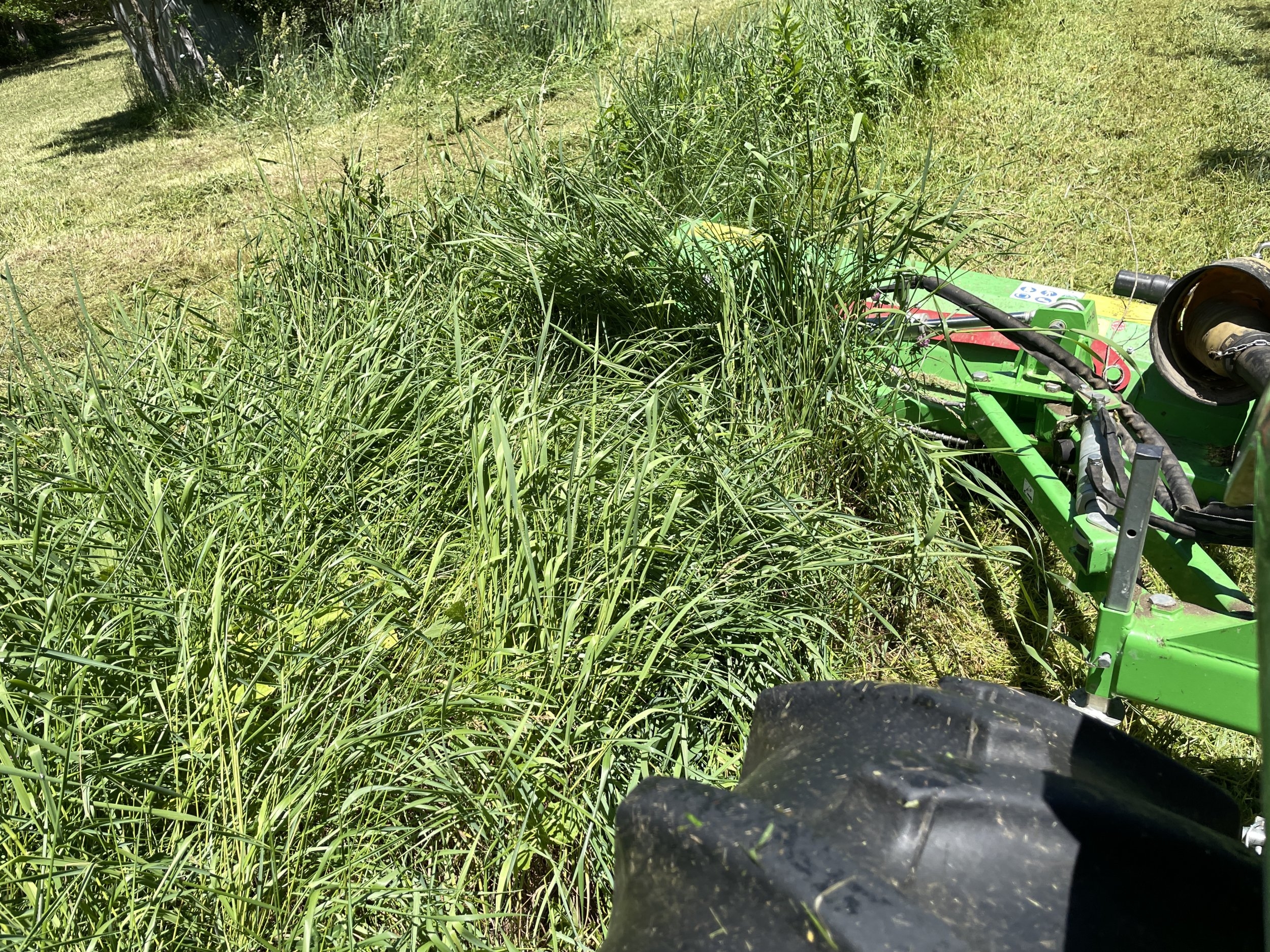 Mowing Jun 2024 -2.JPG