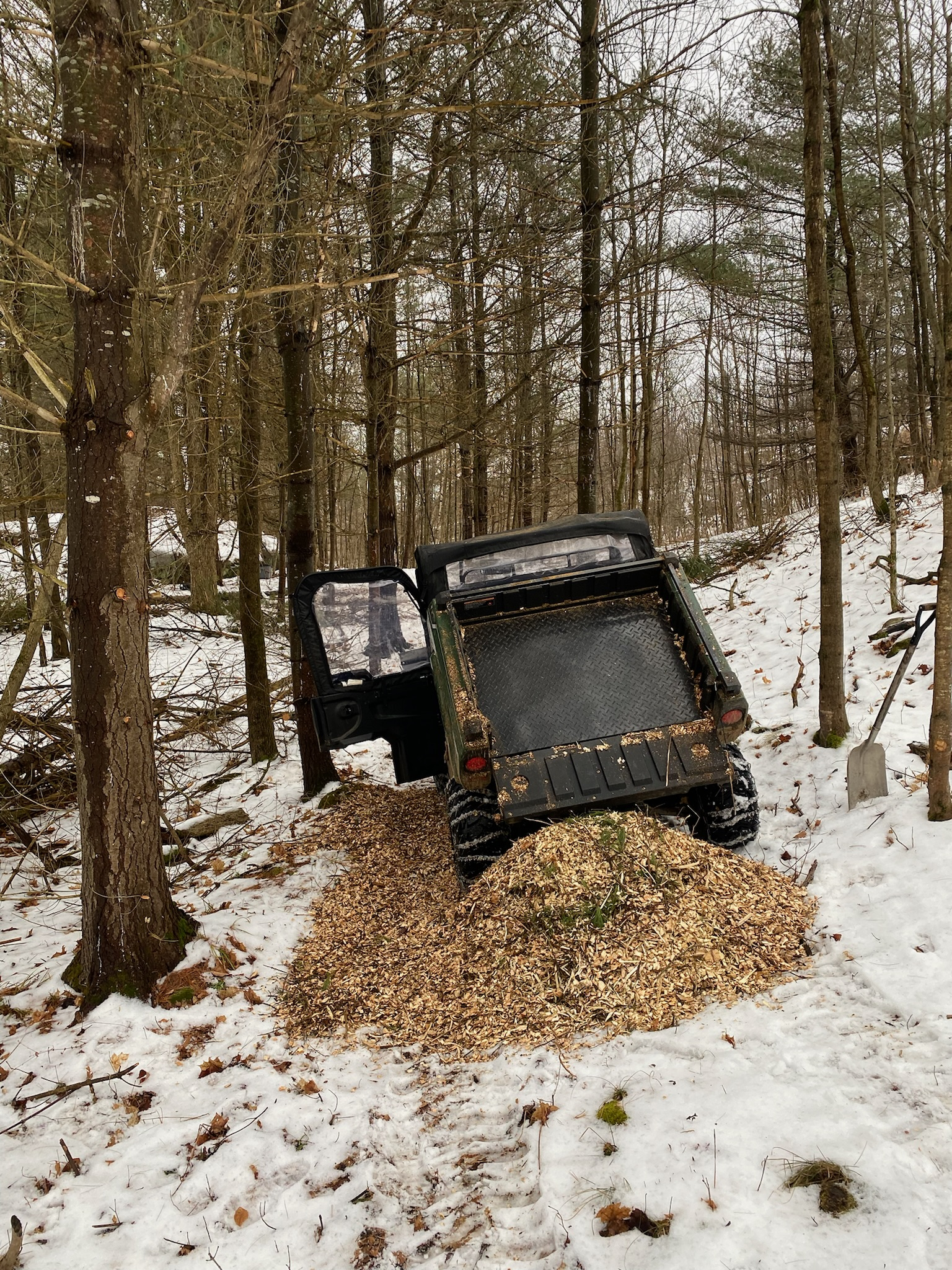 Mule dump - Copy.jpg