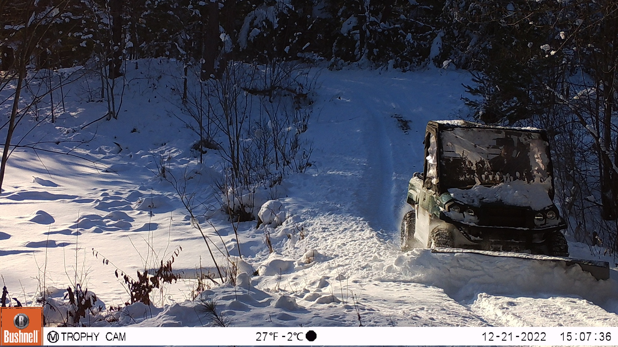 Mule snowplow.jpg