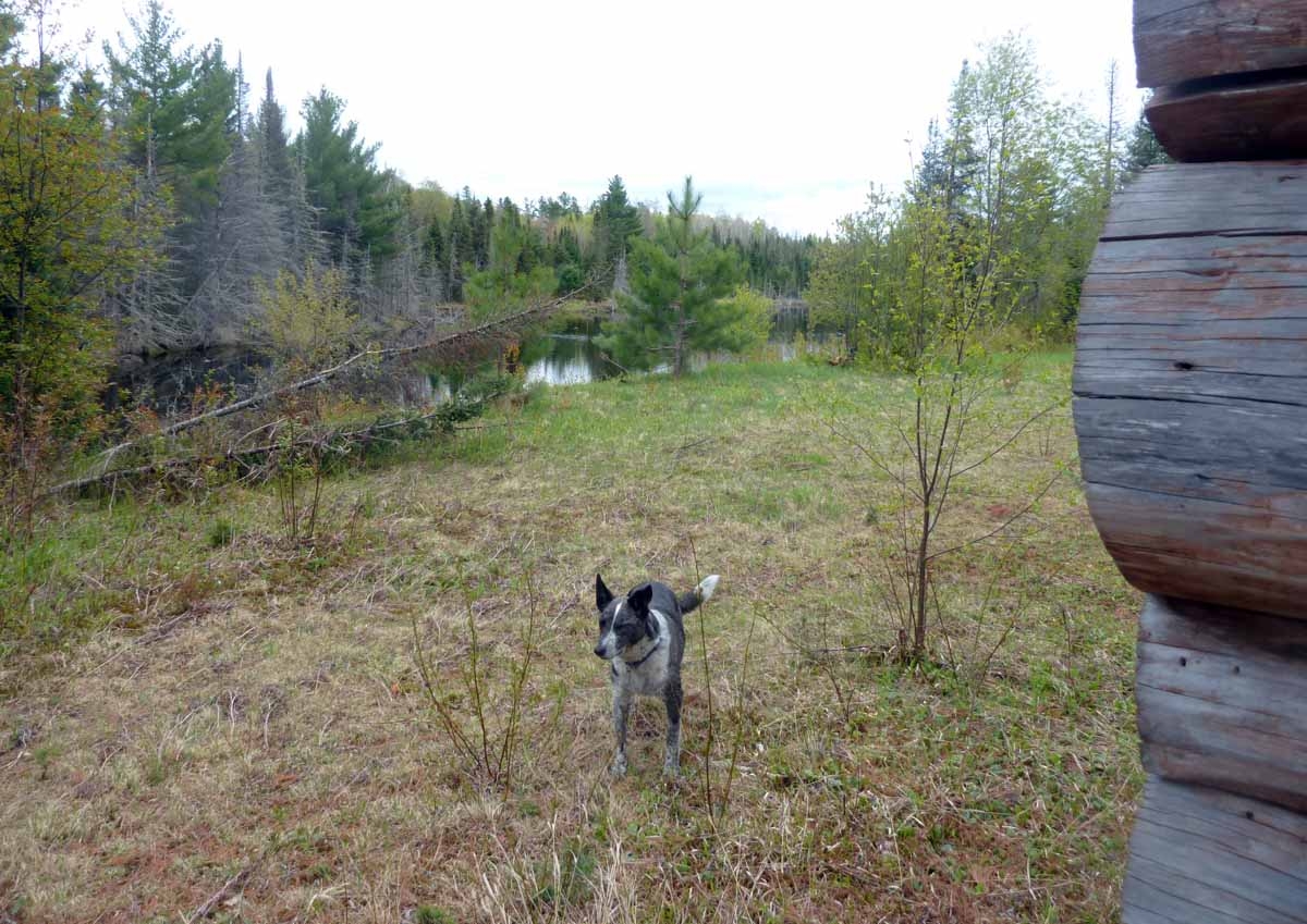 nestcabin0894.jpg