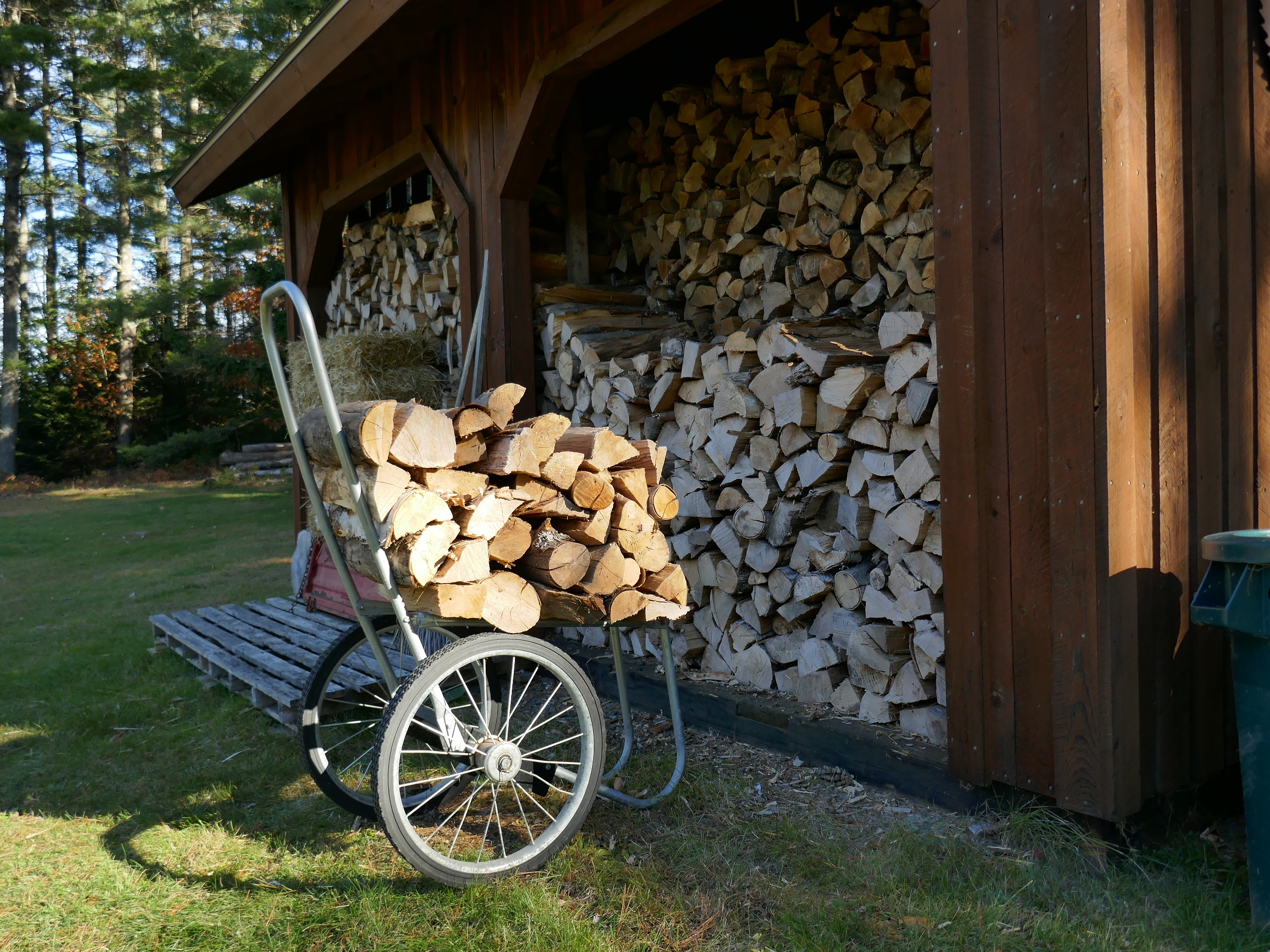 P1000253.JPG