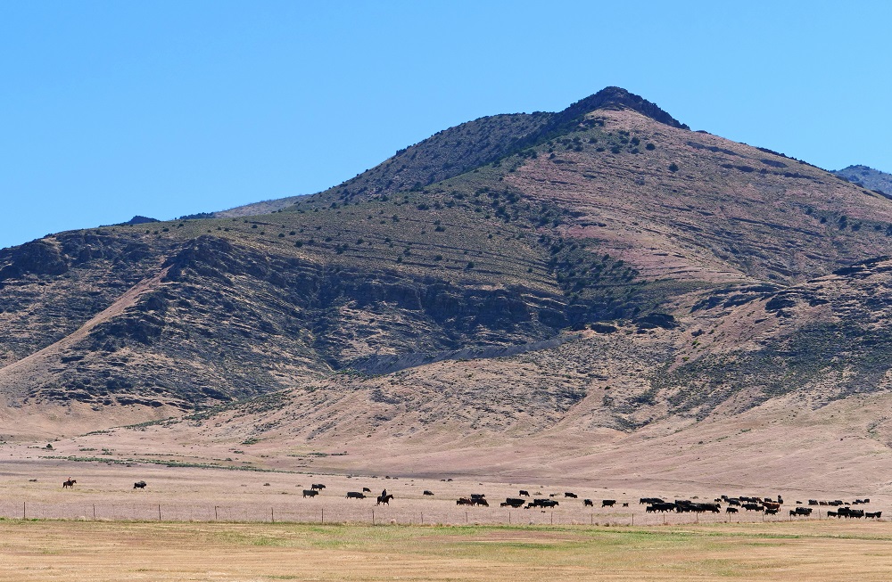 P1000370er.jpg