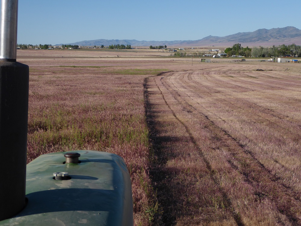 P1000920r.jpg