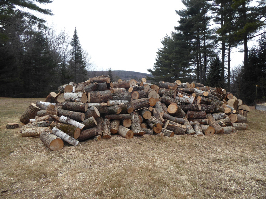 P1010561(2).JPG